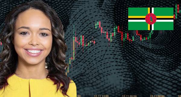 Best API Trading Platforms Dominica Best API Trading Platforms Dominica