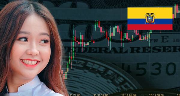 Best API Trading Platforms Ecuador