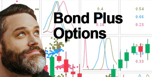 bond plus fund