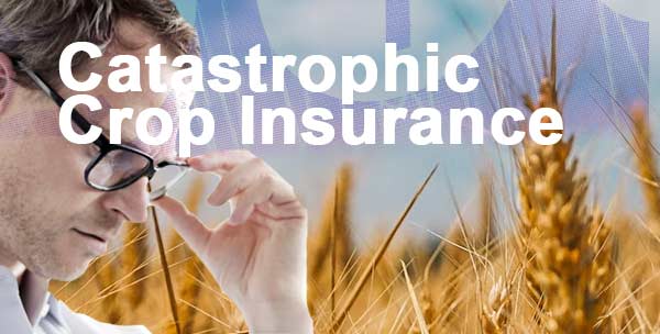 Catastrophic Crop Insurance