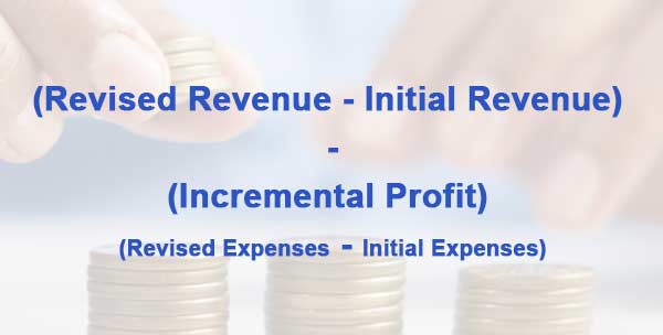 Incremental Profit Formula