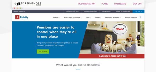 Fidelity International Review