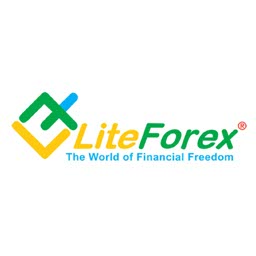 Lite Forex Investments Best islamic Forex accounts Canada 2022