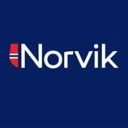 Norvik Forex Best ECN trading platforms USA 2023