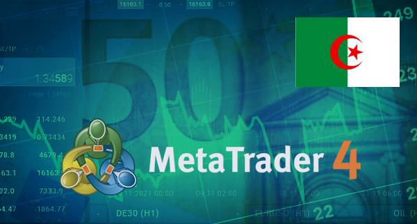 Best MT4 Brokers Algeria