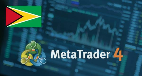 Best MT4 Brokers Guyana